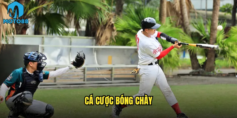 Cá cược bóng chày Moto88 có phù hợp với người Việt không? 9 Cá cược bóng chày