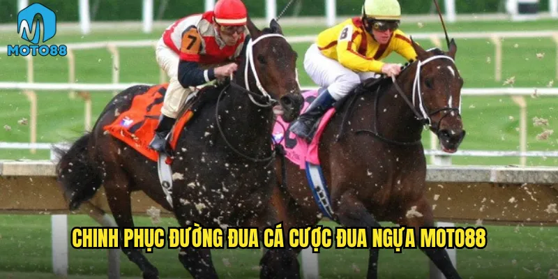 Cá cược đua ngựa Moto88 có còn là sport of kings không? 3 Chinh phục đường đua cá cược đua ngựa Moto88