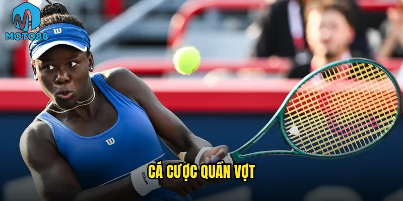 Cá cược quần vợt Moto88 có dễ kiếm tiền như bạn nghĩ? 6 cá cược quần vợt